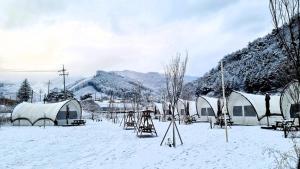 Příroda nedaleko kempu