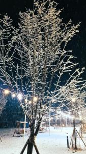 Jecheon J Glamping v zimě + 45 fotografií