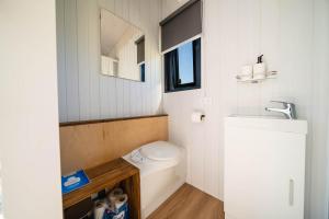 een kleine badkamer met toilet en wastafel bij Stour Cabin by Tiny Away in Huiroa