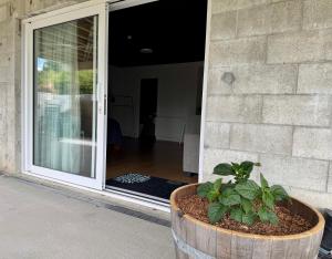 a plant in a pot in front of a door at Wanaka Matai Studio in Wanaka