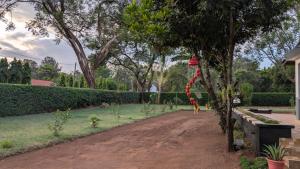 a tree with a red kite hanging from it at Danshome in Moshi