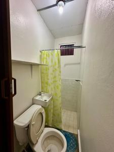ein kleines Badezimmer mit Toilette und Dusche in der Unterkunft Apartment in downtown David in David