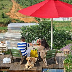 Hosté ubytování NOMAD Home & Coffee + 60 fotografií