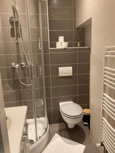 a small bathroom with a shower and a toilet at Le Saint Symphorien 4 in Longeville-lès-Metz