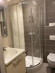 a bathroom with a shower and a sink and a toilet at Le Saint Symphorien 4 in Longeville-lès-Metz
