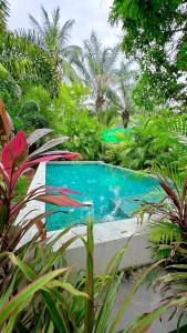 Hồ bơi trong/gần Salad Beach Crystal Bungalow