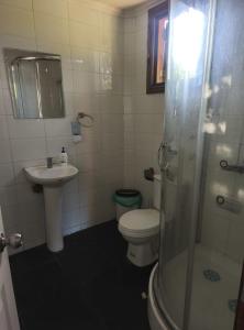 un bagno con wc, lavandino e doccia di domos anmile a Los Quillayes