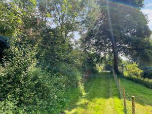 een veld met een hek en wat bomen en gras bij Tyn Y Celyn - Uk48801 in Mold