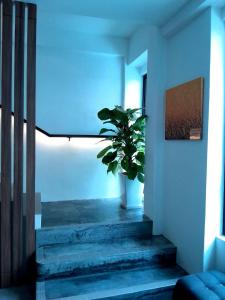 TV a/nebo společenská místnost v ubytování Muari Boutique Hotel