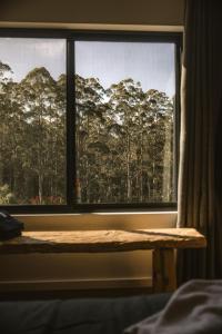 a window in a bedroom with a view of trees at Love - Denmark WA in Denmark +86 photos