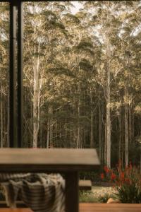 a window view of a park with trees and flowers at Love - Denmark WA in Denmark