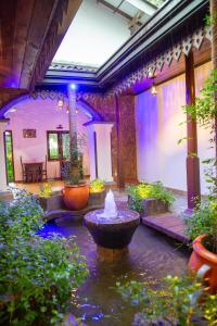 een fontein midden op een binnenplaats met planten bij Sea Turtles Bungalow in Bentota
