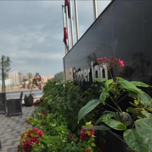 a row of plants next to a building with red flowers at Tripper Inn - تريبر إن in Dammam