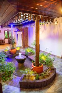 een tuin met een fontein en planten in een kamer bij Sea Turtles Bungalow in Bentota