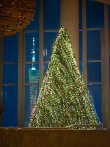 Fotografie z fotogalerie ubytování Park Hyatt Guangzhou v Kantonu