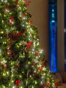 Fotografie z fotogalerie ubytování Park Hyatt Guangzhou v Kantonu