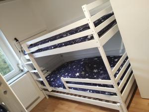 een stapelbed in een kamer met een ladder bij Ferienhaus in Berenbach in Berenbach +31 foto's