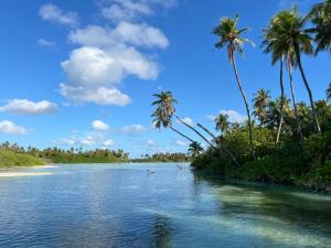 Holiday Villa的享有海岸上种有棕榈树的河流美景