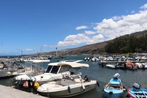 un grupo de barcos atracados en un puerto en Port de saint leu location Bateau avec skyper 2H o693-40-58, en Saint-Leu