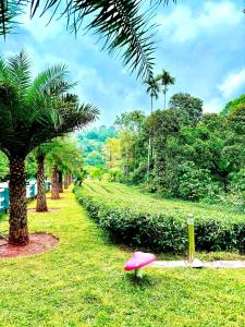 a pink stool sitting in the grass next to trees at ARABIAN HOLIDAY RESORT WITH SWIMMING POOL IN IDUKKI Calvary Mount in Idukki