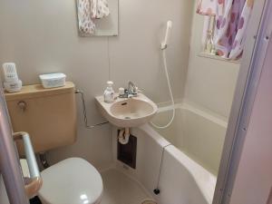 Un baño pequeño con inodoro y lavabo. en トリトン茶屋町#201#202, en Aomori 2 fotos más