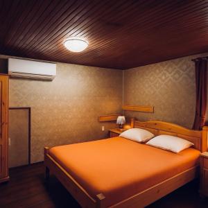an orange bed with two pillows in a bedroom at Complex Ristanite in Elena