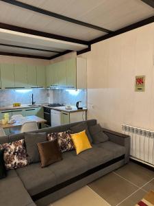 a living room with a couch and a kitchen at Leonovs in Almaty