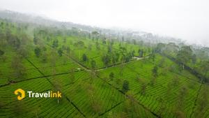 Naturlandskabet i nærheden af hotellet + 9 billeder
