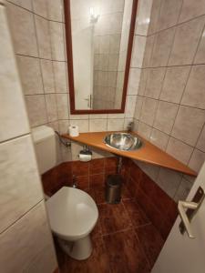 Koupelna v ubytování Frangepan