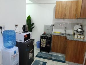 a small kitchen with a stove and a microwave at Zangem BnBs in Ruiru