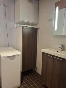 un piccolo bagno con lavandino e WC di Timantti B15 a Kalajoki Altre 8 foto