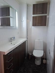 un bagno con un water bianco e un lavandino di Timantti B15 a Kalajoki