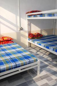 2 Etagenbetten nebeneinander in einem Zimmer in der Unterkunft Vườn Dừa Cam Bình 1 in La Gi