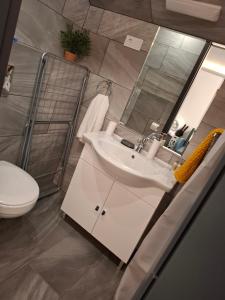 Un baño con lavabo, inodoro y espejo. en ÚJ - Emili Apartman Miskolctapolca - 27 főre, en Miskolctapolca 120 fotos más