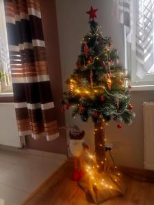 Fotografie z fotogalerie ubytování Apartament EWCIA v destinaci Międzybrodzie Bialskie