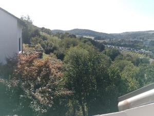 a view of a bunch of trees on a hill at NEU! Ferienwohnung Bottelterberg in Saarburg +4 photos