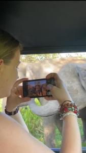 Una mujer tomando una foto de un elefante con un teléfono celular. en Sigiri Pandora Lodge & Hostel, en Sigiriya