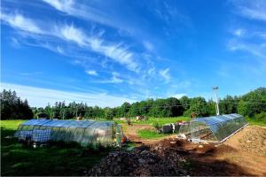 zwei Gewächshäuser auf einem Feld unter blauem Himmel in der Unterkunft Ubytování Na pasece in Benešov