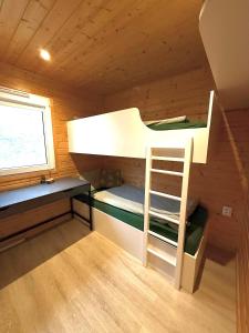 Etagenbett in einer Kabine mit Leiter in der Unterkunft Ubytování Na pasece in Benešov