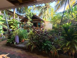 En have udenfor Monsoon