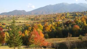 einen Hang mit Bäumen und Bergen im Hintergrund in der Unterkunft LaBrazi in Şimon
