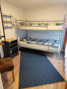 2 stapelbedden in een kamer met een tapijt bij Fewo Lea in Willingen