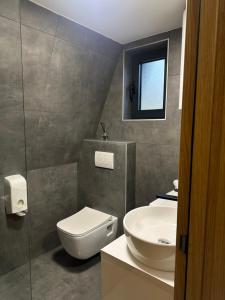a bathroom with a toilet and a sink at Homeland Nest in Žabljak