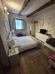 een slaapkamer met een groot bed en een televisie bij Cascina Brignolo in Novara