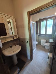 een badkamer met een wastafel en een toilet bij Cascina Brignolo in Novara