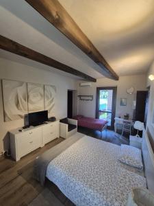 een slaapkamer met een bed en een televisie. bij Cascina Brignolo in Novara