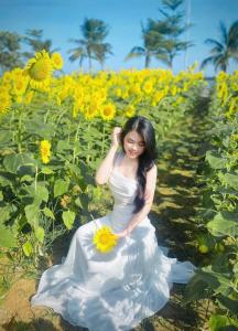 Fotografie z fotogalerie ubytování Nam Hoi An Riverside Hotel v destinaci Thuận An + 142 fotografií