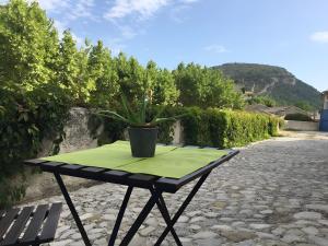 een tafel met een potplant erop bij Charmante Maison De Village 60 M² in Mollans-sur-Ouvèze