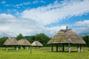 Příroda nedaleko penzionu