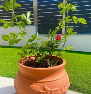 Afbeelding uit fotogalerij van Amarynthos Maisonettes in Amarinthos